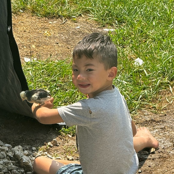 Meet your Posher, Nicola - Picture 13 of 15